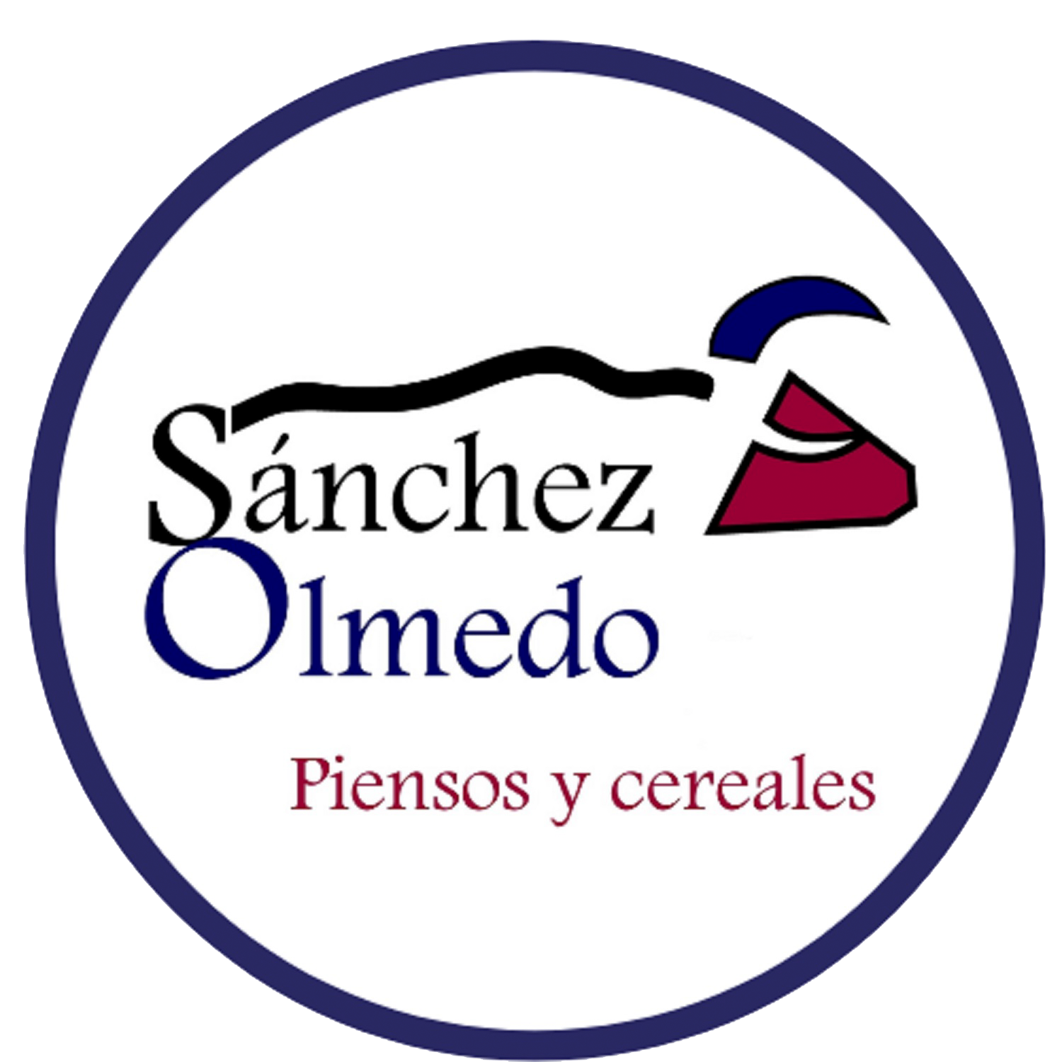Sanchez Olmedo